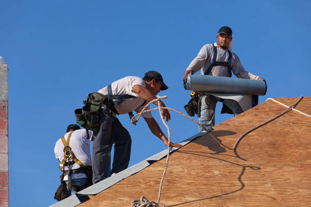 Best New Roof Installation  in Erwin, NC