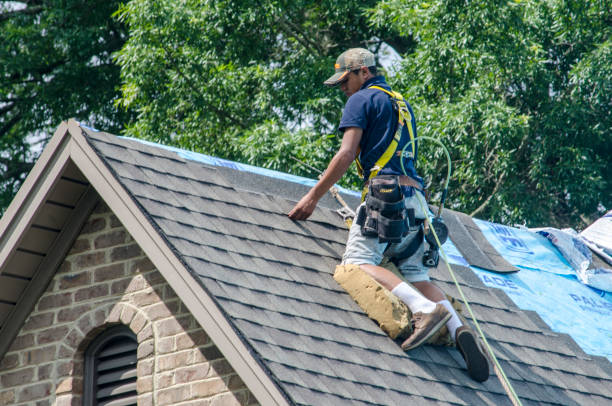 Best Roof Maintenance Services  in Erwin, NC